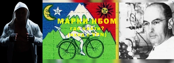 ГАЛЛЮЦИНОГЕННЫЕ ГРИБЫ Алзамай