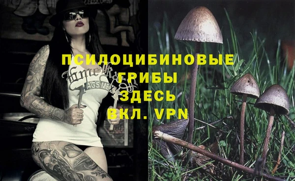 мяу мяу мука Алексеевка