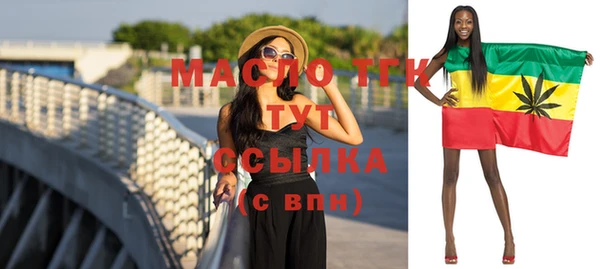 молекула духа Новозыбков